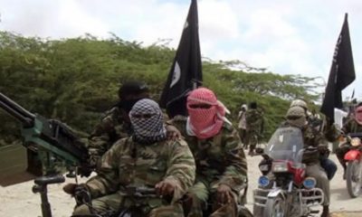 See List Of 28 Boko Haram Commanders Killed, Arrested By ISWAP