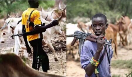 BREAKING: Fulani Herdsmen Kill Over 26 Benue Farmers, Burn 100 Houses