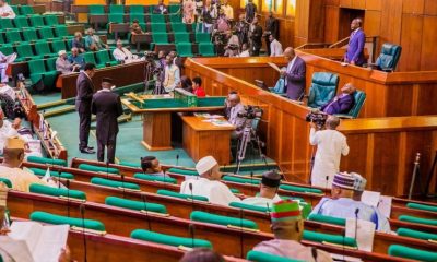 House Of Reps Introduces Bill To Allow Nigerians Carry Gun
