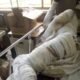 Gbagada General Hospital Doctors 'Abandoned' After 'Critical COVID-19 Case'