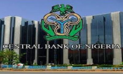 How To Apply For CBN Loan In 100 For 100 Policy