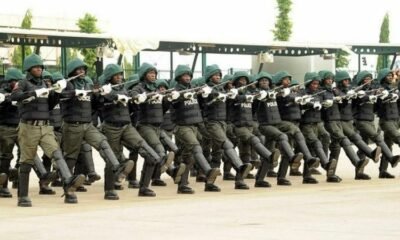 Nigeria Police Promotion Rank And File 2020 List Is Finally Out