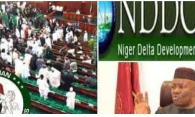 NDDC Names 23 Companies Used By NASS To Get N9 Trillion Contracts (Full List)