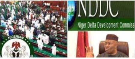 NDDC Names 23 Companies Used By NASS To Get N9 Trillion Contracts (Full List)