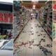 BREAKING: Thugs Invade Shoprite In Lekki, Festac, Loot Goods (Video)