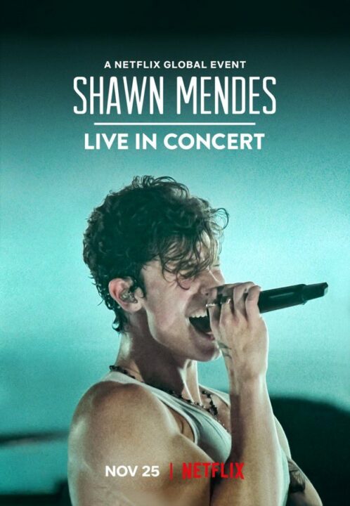 Shawn Mendes Live In Concert Is Out, Watch #LiveInConcert Here