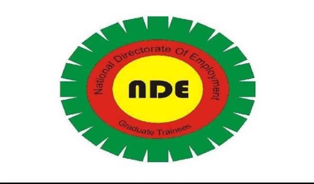 FG Makes New Appointment Into NDE