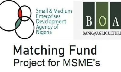 Apply Now As SMEDAN, BOA Open N5m Loan Application For Small Businesses