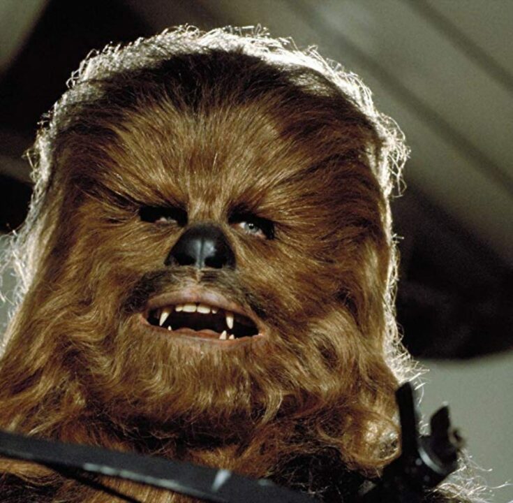 Chewbacca in Return of the Jedi
