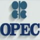 Recruitment: Apply For OPEC Recruitment Jobs 2021 Here (2 Positions)