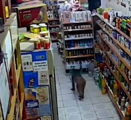 Watch As Monkey Sneaks Into Supermarket To Steal (Video)