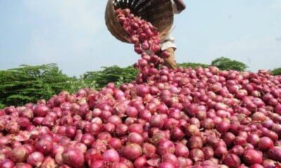 BREAKING: Onion Suppliers Stop Supply Of Onions To South East