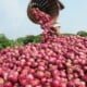 BREAKING: Onion Suppliers Stop Supply Of Onions To South East