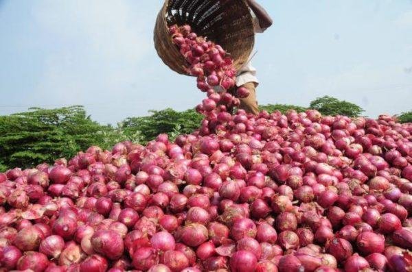 BREAKING: Onion Suppliers Stop Supply Of Onions To South East