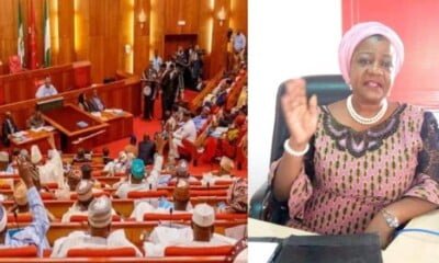 BREAKING: APC Dominated Senate Rejects Lauretta Onochie As INEC Commissioner