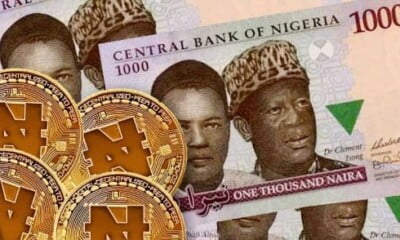 eNaira: All You Need To Know About e-Naira Amid Dollar To Naira Crash