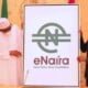 eNaira: 11 Things To Know About Charges On eNaira App