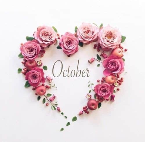 200 Happy New Month Messages October 2022 For Mum, Brother, Sister, Dad, Lovers