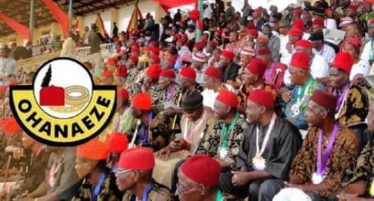 2023 Election: What Igbo Presidency Will Do To Nigeria - Ohanaeze Ndigbo