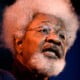 Wole Soyinka Breaks Silence On Endorsing Tinubu For 2023 Presidential Election