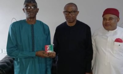 2023 Election: Why I Joined Labour Party - Peter Obi