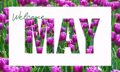 50 Happy New Month Messages, May Prayers, May Wishes, Quotes For May 2022