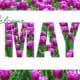 50 Happy New Month Messages, May Prayers, May Wishes, Quotes For May 2022