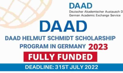 See DAAD Helmut Schmidt Scholarship Program 2023 | Fully Funded
