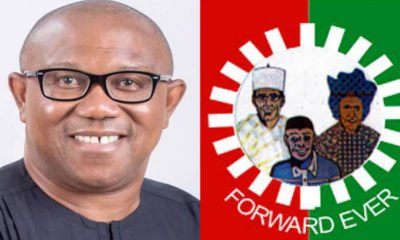 Nigeria Elections 2023: Peter Obi Wins Massively In Anambra State [See Election Results]