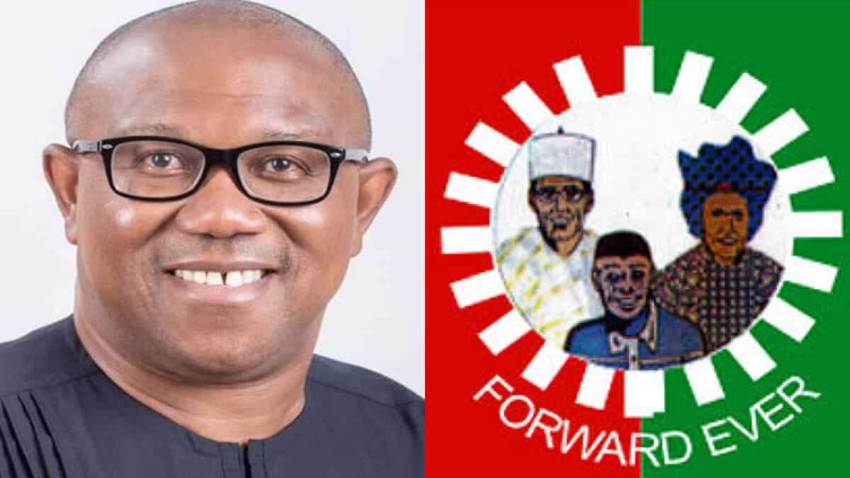 Nigeria Elections 2023: Peter Obi Wins Massively In Anambra State [See Election Results]