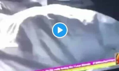 Watch #BBNaija Khalid And Daniella S3x Video As Amaka Expresses Shock