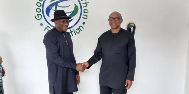 2023 Election: What I Discussed With Former President Jonathan - Peter Obi