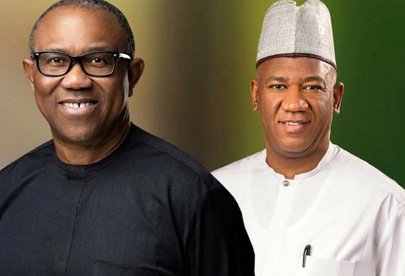 FULL LIST: See Peter Obi Campaign Council List For 2023 Election