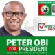 BREAKING: 18 Governors, Former Nigerian Leaders Back Peter Obi For 2023 Election
