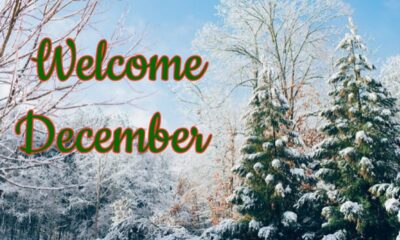 120 Happy New Month Messages December 2022 For All