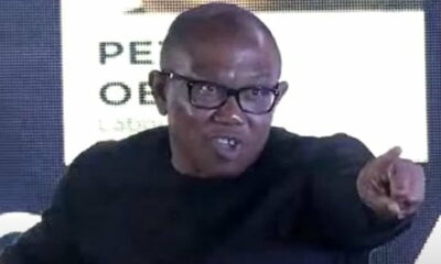 I Have Taken Enough From You - Angry Peter Obi Warns Dino Melaye [Video]