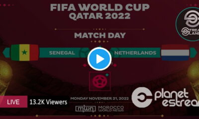 WATCH FIFA World Cup 2022 Match Senegal vs Netherlands Live