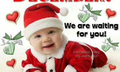 300 Happy New Month Messages December 2023 for Boss, Brother, Sister, Dad, Mum, Lovers