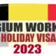 Belgium Visa: How To Apply For Belgium Working Holiday Visa 2023