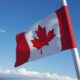 Canadian Immigration Consultants: How to Choose the Right One for Yourself