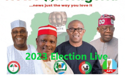 Nigeria Elections 2023: See Anambra 2023 Presidential Election Results