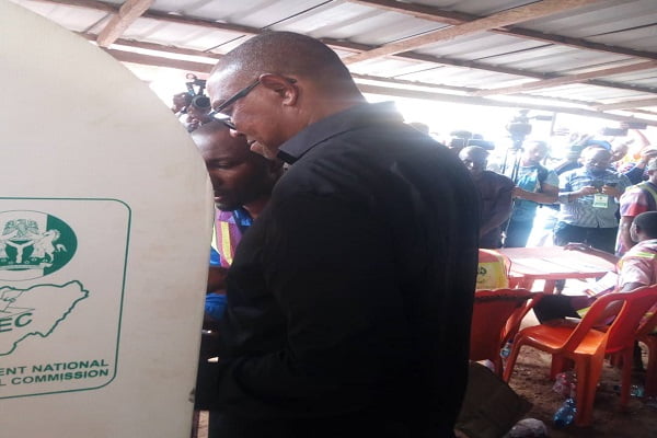 BREAKING: Peter Obi Wins Polling Units In Presidential Villa Abuja [See Results]