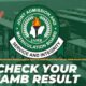 JAMB Result Checker Portal Login: Is April 25 JAMB Result Out? Check JAMB Result 2023