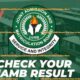 BREAKING: JAMB Result Day Four Is Out: Check JAMB Result 2023 Online Here