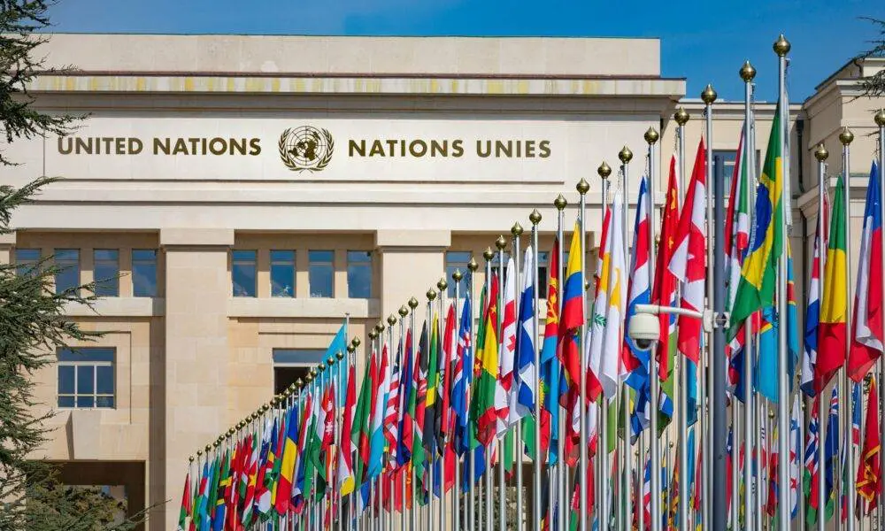 APPLY Now: United Nations Recruitment 2023 - Login UN Job Vacancy Portal