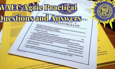 WAEC Agric Practical Questions and Answers 2023: Find WAEC Solutions Here