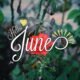 300 Happy New Month Messages June 2023 For Brother, Sister, Dad, Mum, Lovers, Boss