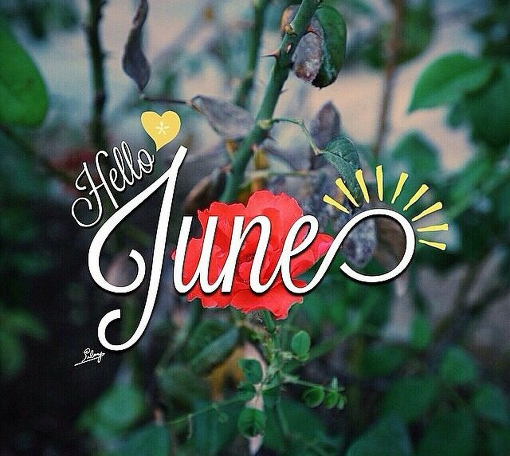 300 Happy New Month Messages June 2023 For Brother, Sister, Dad, Mum, Lovers, Boss