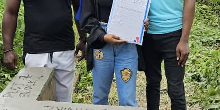 Another Allocation From Akmodel Group, The Brand To Beat