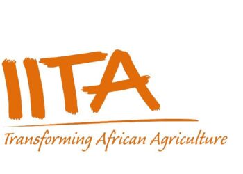 Recruitment: Apply For Massive IITA Recruitment 2023